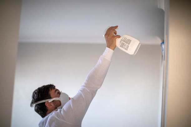 Home Mold Removal in Sparta, MI