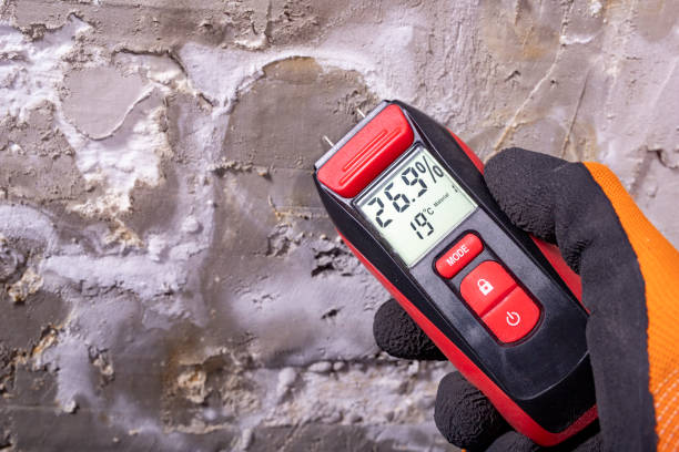 Best Mold Remediation  in Sparta, MI