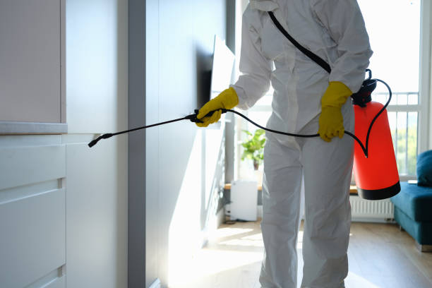 Best Mold Removal Company Near Me  in Sparta, MI