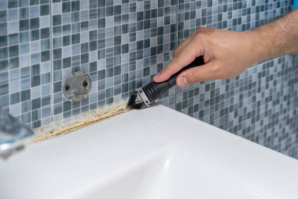 Best Office Mold Removal Services  in Sparta, MI